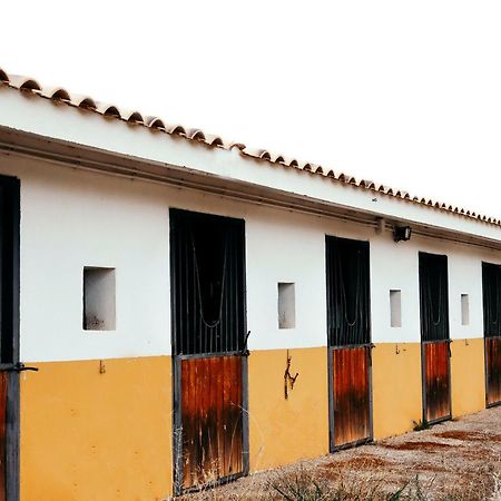 Finca El Cerco A 5M De Puy Du Fou Y 10M A Casco Antiguo De Toledo Villa Arges Ngoại thất bức ảnh