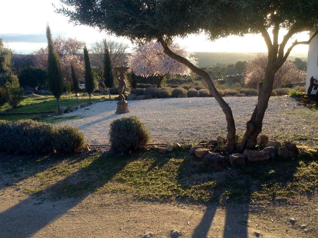 Finca El Cerco A 5M De Puy Du Fou Y 10M A Casco Antiguo De Toledo Villa Arges Ngoại thất bức ảnh