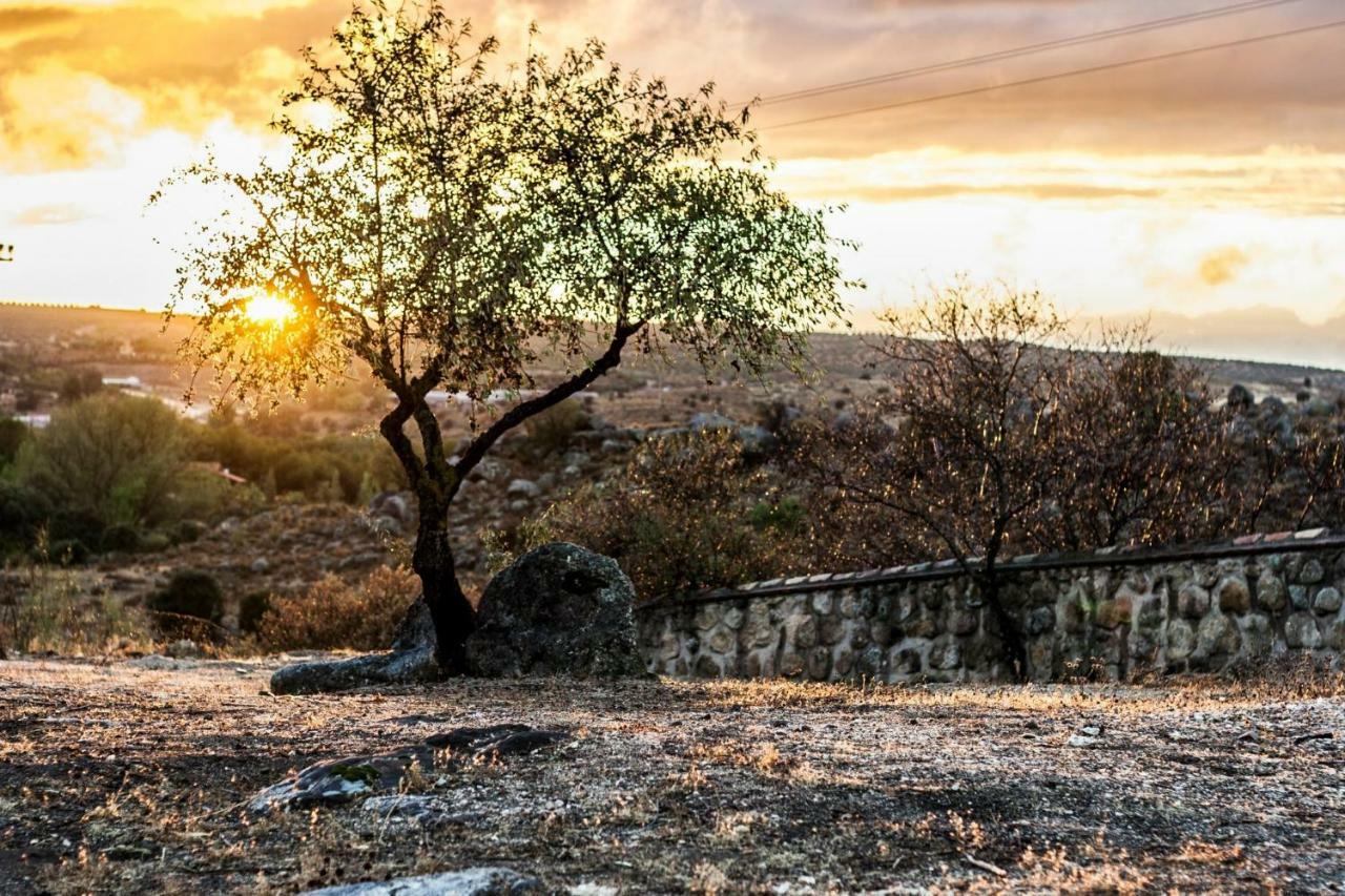 Finca El Cerco A 5M De Puy Du Fou Y 10M A Casco Antiguo De Toledo Villa Arges Ngoại thất bức ảnh
