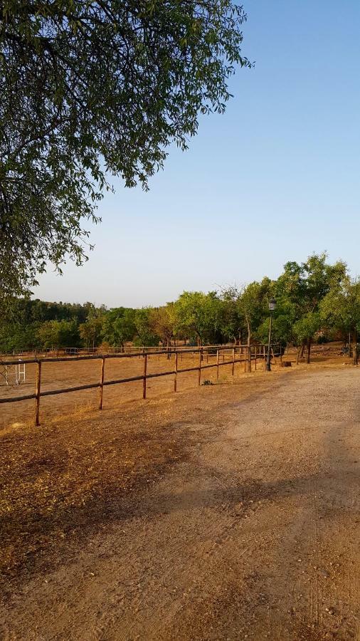 Finca El Cerco A 5M De Puy Du Fou Y 10M A Casco Antiguo De Toledo Villa Arges Ngoại thất bức ảnh