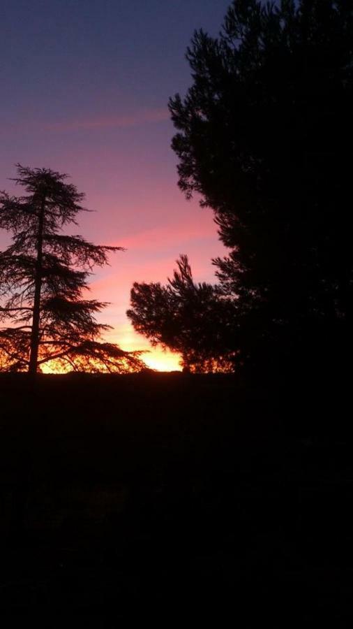 Finca El Cerco A 5M De Puy Du Fou Y 10M A Casco Antiguo De Toledo Villa Arges Ngoại thất bức ảnh