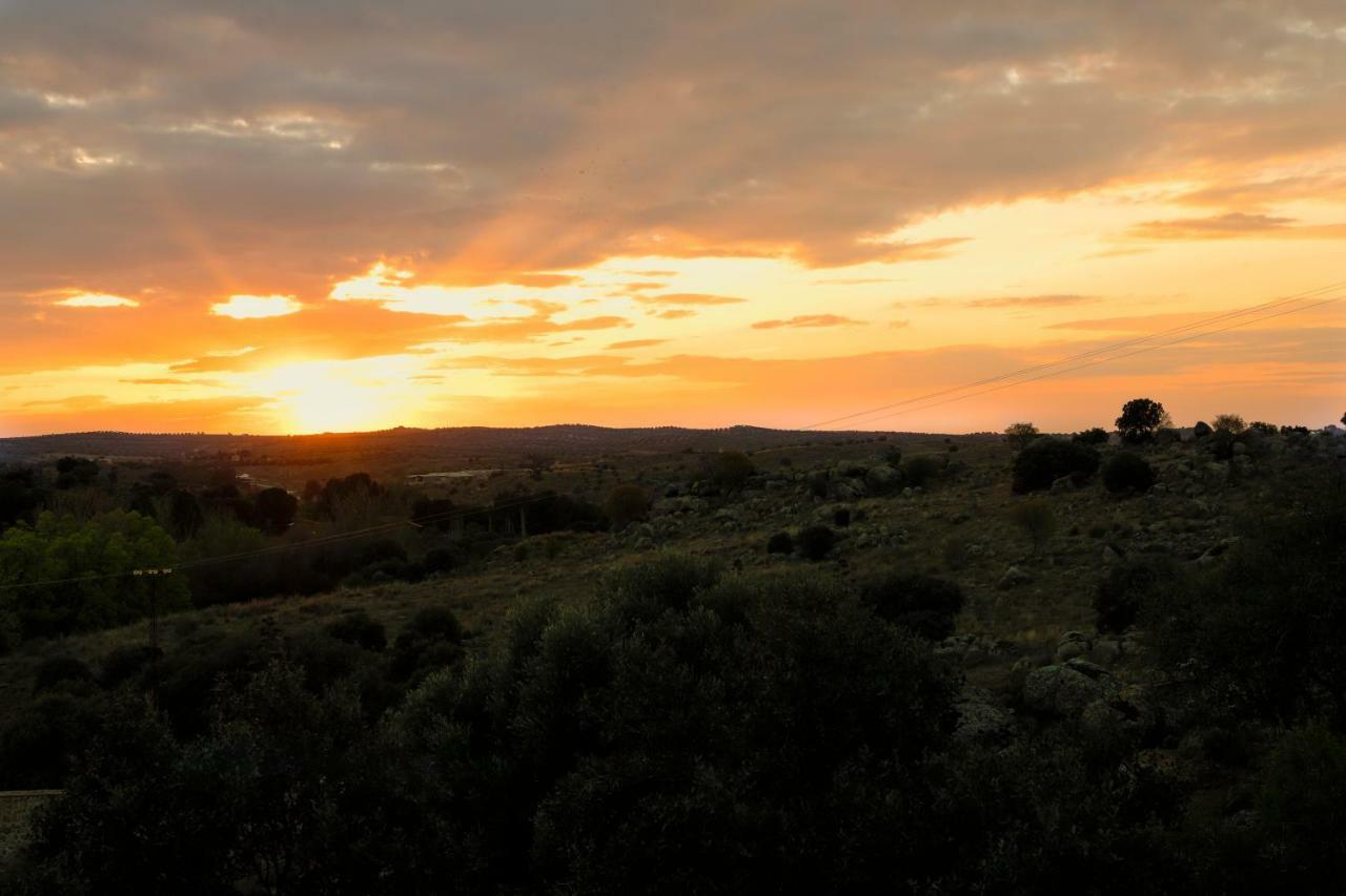 Finca El Cerco A 5M De Puy Du Fou Y 10M A Casco Antiguo De Toledo Villa Arges Ngoại thất bức ảnh