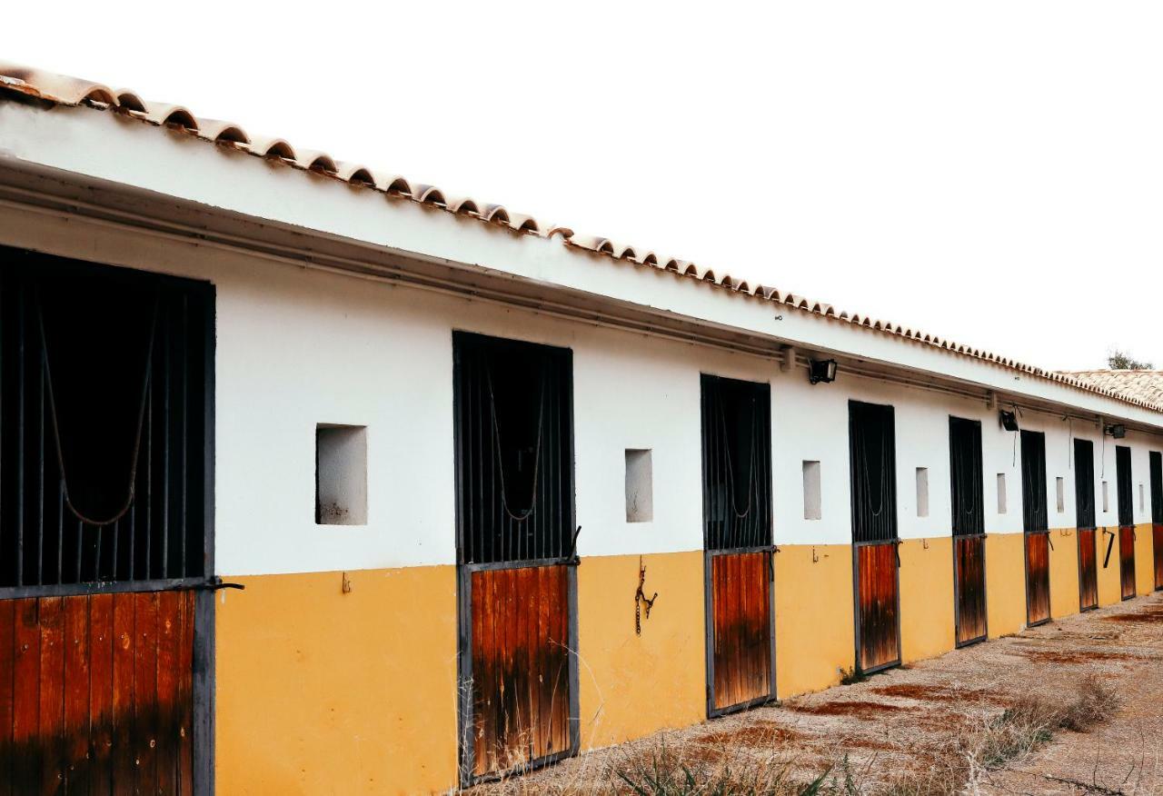 Finca El Cerco A 5M De Puy Du Fou Y 10M A Casco Antiguo De Toledo Villa Arges Ngoại thất bức ảnh